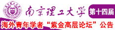 少萝被南京理工大学第十四届海外青年学者紫金论坛诚邀海内外英才！